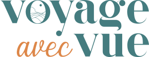 Logo complet Voyage avec Vue
