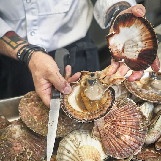 Ouverture de coquille Saint-Jacques